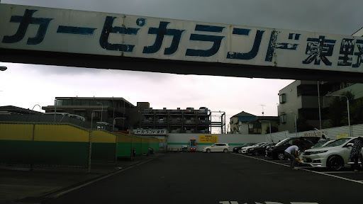 カーピカランド 東野